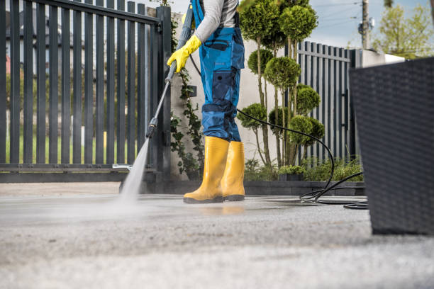 Best Driveway Pressure Washing  in Floydada, TX